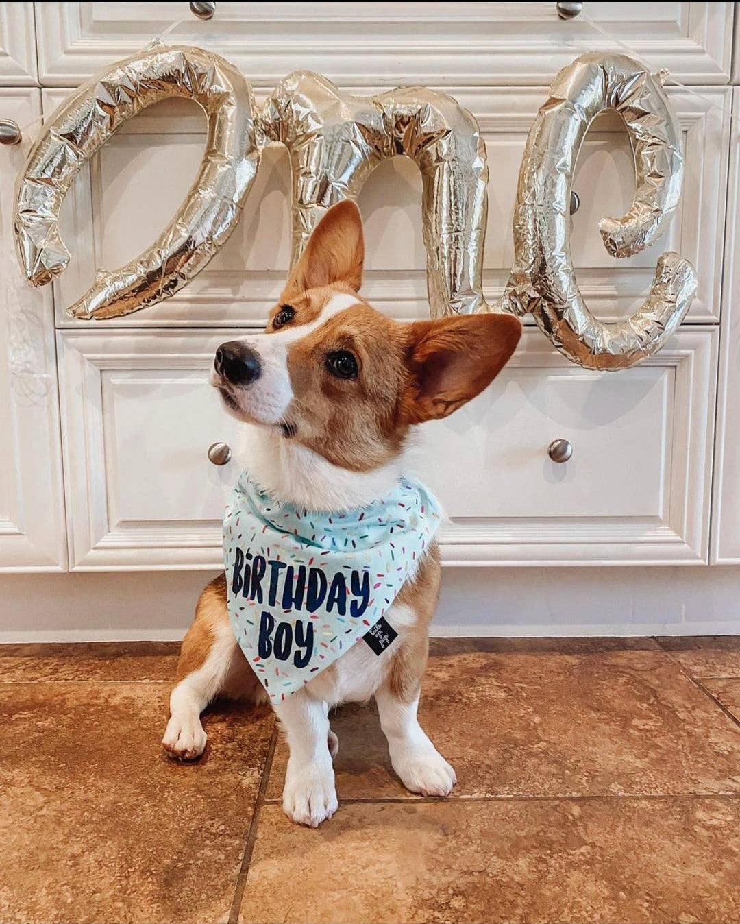 Birthday Boy Dog Bandana